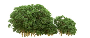 Yeşil orman ıssız. Afişler ve afişler için kullanışlı. 3d oluşturma.