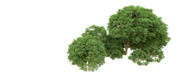 Yeşil orman ıssız. Afişler ve afişler için kullanışlı. 3d oluşturma.