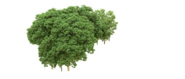 Yeşil orman ıssız. Afişler ve afişler için kullanışlı. 3d oluşturma.