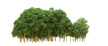 Yeşil orman ıssız. Afişler ve afişler için kullanışlı. 3d oluşturma.