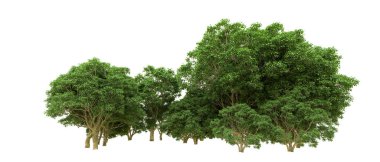 Yeşil orman ıssız. Afişler ve afişler için kullanışlı. 3d oluşturma.