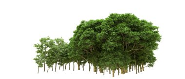 Yeşil orman ıssız. Afişler ve afişler için kullanışlı. 3d oluşturma.