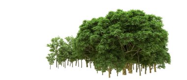 Yeşil orman ıssız. Afişler ve afişler için kullanışlı. 3d oluşturma.