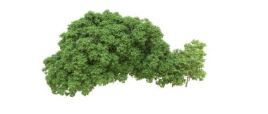 Yeşil orman ıssız. Afişler ve afişler için kullanışlı. 3d oluşturma.