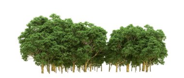 Yeşil orman ıssız. Afişler ve afişler için kullanışlı. 3d oluşturma.