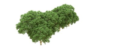 Yeşil orman ıssız. Afişler ve afişler için kullanışlı. 3d oluşturma.