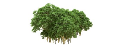 Yeşil orman ıssız. Afişler ve afişler için kullanışlı. 3d oluşturma.