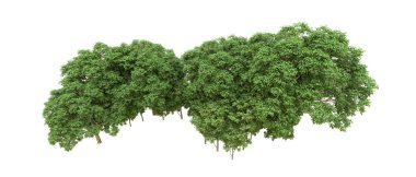 Yeşil orman ıssız. Afişler ve afişler için kullanışlı. 3d oluşturma.