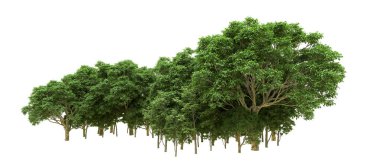 Yeşil orman ıssız. Afişler ve afişler için kullanışlı. 3d oluşturma.