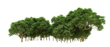 Yeşil orman ıssız. Afişler ve afişler için kullanışlı. 3d oluşturma.