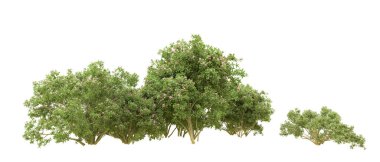 Yeşil orman ıssız. Afişler ve afişler için kullanışlı. 3d oluşturma.