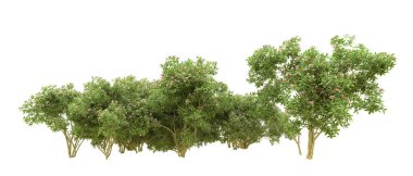 Yeşil orman ıssız. Afişler ve afişler için kullanışlı. 3d oluşturma.