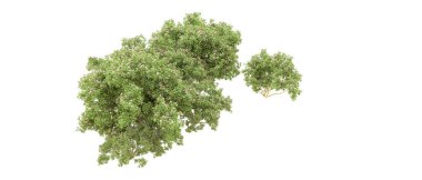 Yeşil orman ıssız. Afişler ve afişler için kullanışlı. 3d oluşturma.