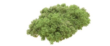 Yeşil orman ıssız. Afişler ve afişler için kullanışlı. 3d oluşturma.