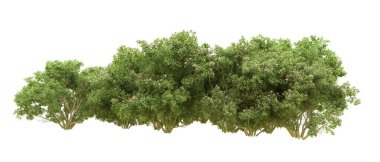 Yeşil orman ıssız. Afişler ve afişler için kullanışlı. 3d oluşturma.