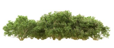 Yeşil orman ıssız. Afişler ve afişler için kullanışlı. 3d oluşturma.