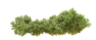 Yeşil orman ıssız. Afişler ve afişler için kullanışlı. 3d oluşturma.