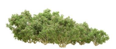 Yeşil orman ıssız. Afişler ve afişler için kullanışlı. 3d oluşturma.