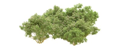 Yeşil orman ıssız. Afişler ve afişler için kullanışlı. 3d oluşturma.