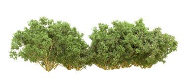 Yeşil orman ıssız. Afişler ve afişler için kullanışlı. 3d oluşturma.