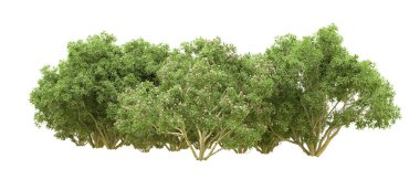 Yeşil orman ıssız. Afişler ve afişler için kullanışlı. 3d oluşturma.