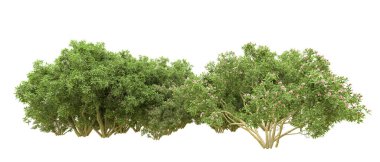 Yeşil orman ıssız. Afişler ve afişler için kullanışlı. 3d oluşturma.