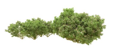 Yeşil orman ıssız. Afişler ve afişler için kullanışlı. 3d oluşturma.