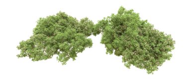 Yeşil orman ıssız. Afişler ve afişler için kullanışlı. 3d oluşturma.