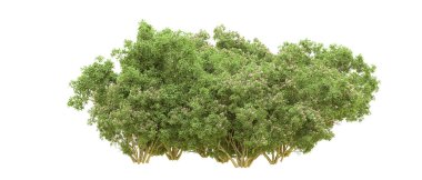 Yeşil orman ıssız. Afişler ve afişler için kullanışlı. 3d oluşturma.