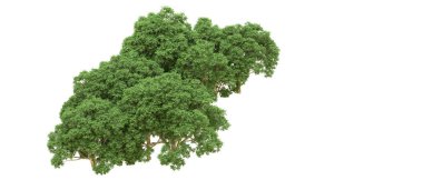 Yeşil orman ıssız. Afişler ve afişler için kullanışlı. 3d oluşturma.