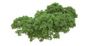 Yeşil orman ıssız. Afişler ve afişler için kullanışlı. 3d oluşturma.