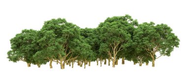 Yeşil orman ıssız. Afişler ve afişler için kullanışlı. 3d oluşturma.