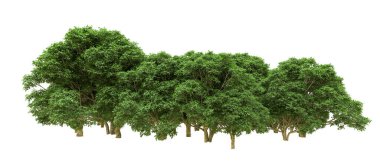 Yeşil orman ıssız. Afişler ve afişler için kullanışlı. 3d oluşturma.