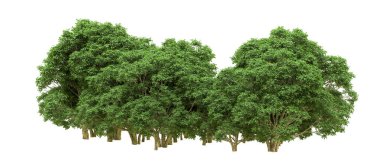 Yeşil orman ıssız. Afişler ve afişler için kullanışlı. 3d oluşturma.