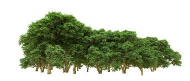 Yeşil orman ıssız. Afişler ve afişler için kullanışlı. 3d oluşturma.