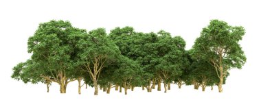 Yeşil orman ıssız. Afişler ve afişler için kullanışlı. 3d oluşturma.