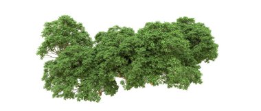 Yeşil orman ıssız. Afişler ve afişler için kullanışlı. 3d oluşturma.