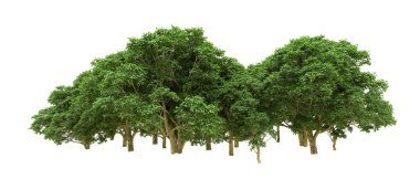 Yeşil orman ıssız. Afişler ve afişler için kullanışlı. 3d oluşturma.