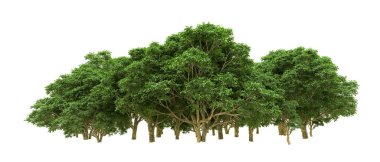 Yeşil orman ıssız. Afişler ve afişler için kullanışlı. 3d oluşturma.