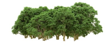 Yeşil orman ıssız. Afişler ve afişler için kullanışlı. 3d oluşturma.