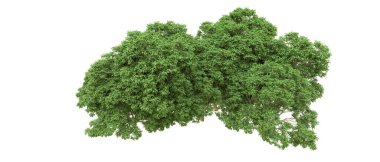 Yeşil orman ıssız. Afişler ve afişler için kullanışlı. 3d oluşturma.