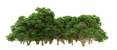 Yeşil orman ıssız. Afişler ve afişler için kullanışlı. 3d oluşturma.