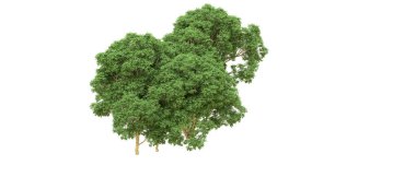 Yeşil orman ıssız. Afişler ve afişler için kullanışlı. 3d oluşturma.