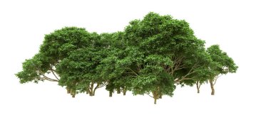 Yeşil orman ıssız. Afişler ve afişler için kullanışlı. 3d oluşturma.