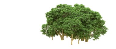 Yeşil orman ıssız. Afişler ve afişler için kullanışlı. 3d oluşturma.