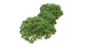 Yeşil orman ıssız. Afişler ve afişler için kullanışlı. 3d oluşturma.