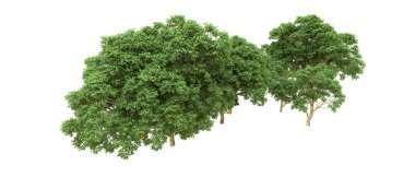 Yeşil orman ıssız. Afişler ve afişler için kullanışlı. 3d oluşturma.