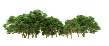 Yeşil orman ıssız. Afişler ve afişler için kullanışlı. 3d oluşturma.