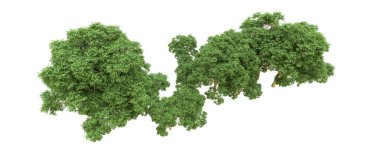 Yeşil orman ıssız. Afişler ve afişler için kullanışlı. 3d oluşturma.