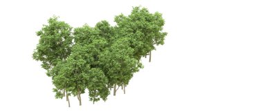 Yeşil orman ıssız. Afişler ve afişler için kullanışlı. 3d oluşturma.